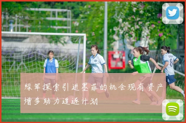 绿军探索引进墨菲的机会现有资产增多助力追逐计划