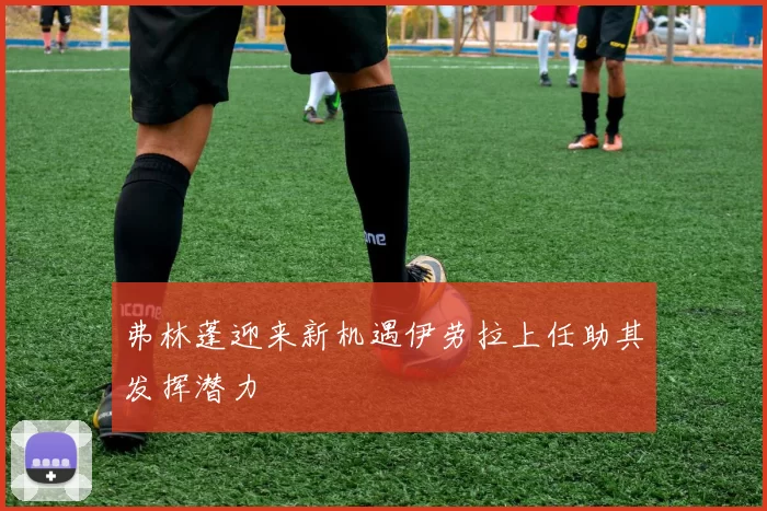 弗林蓬迎来新机遇伊劳拉上任助其发挥潜力