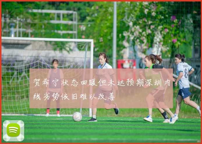 贺希宁状态回暖但未达预期深圳内线劣势依旧难以改善